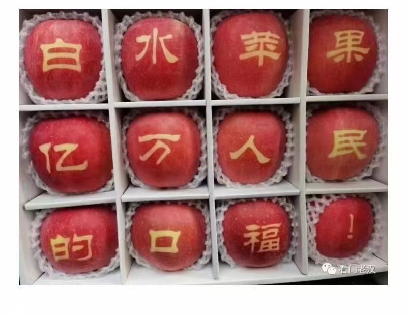 陕西白水苹果