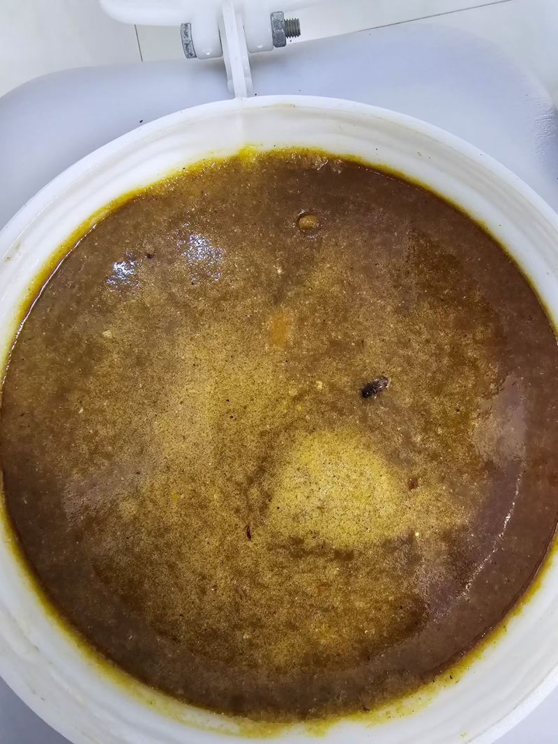 纯种土蜂蜜