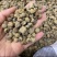覆盆子大粒浙江覆盆子实物拍摄批发各种中药材