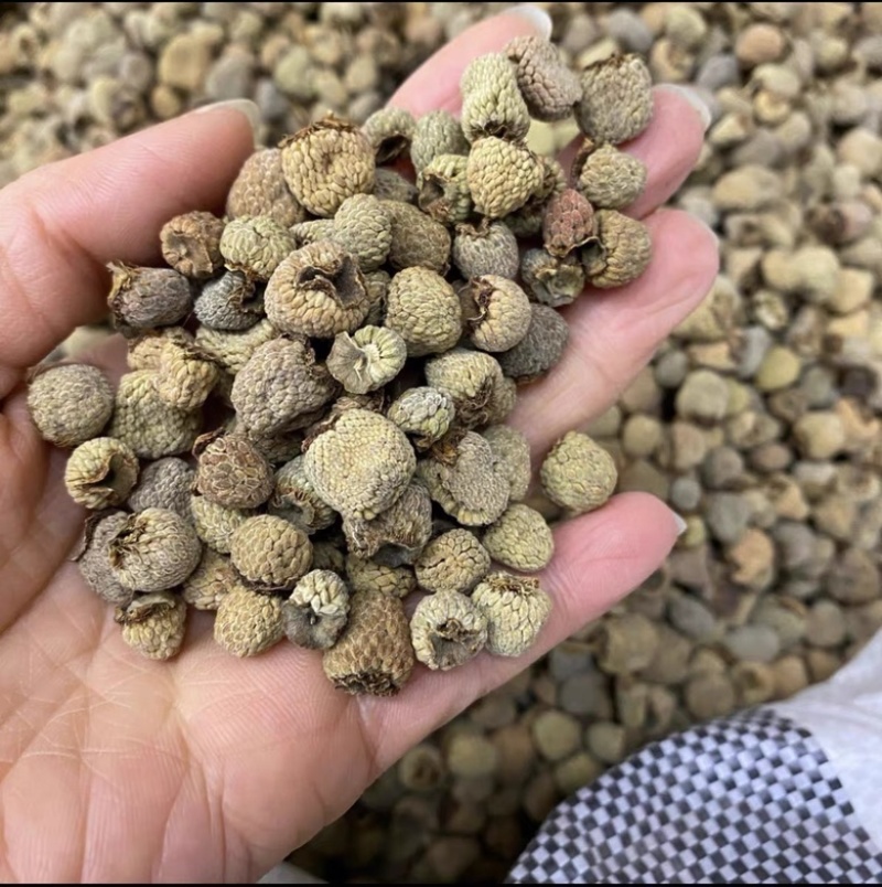 覆盆子大粒浙江覆盆子实物拍摄批发各种中药材