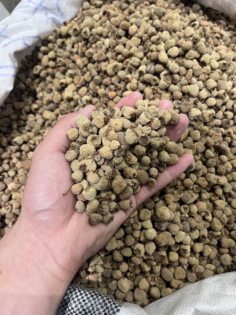 覆盆子大粒浙江覆盆子实物拍摄批发各种中药材