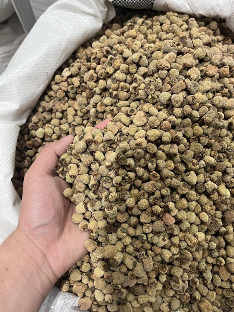 覆盆子大粒浙江覆盆子实物拍摄批发各种中药材