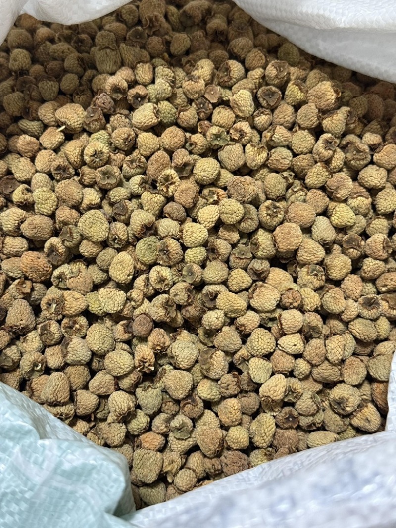 覆盆子大粒浙江覆盆子实物拍摄批发各种中药材