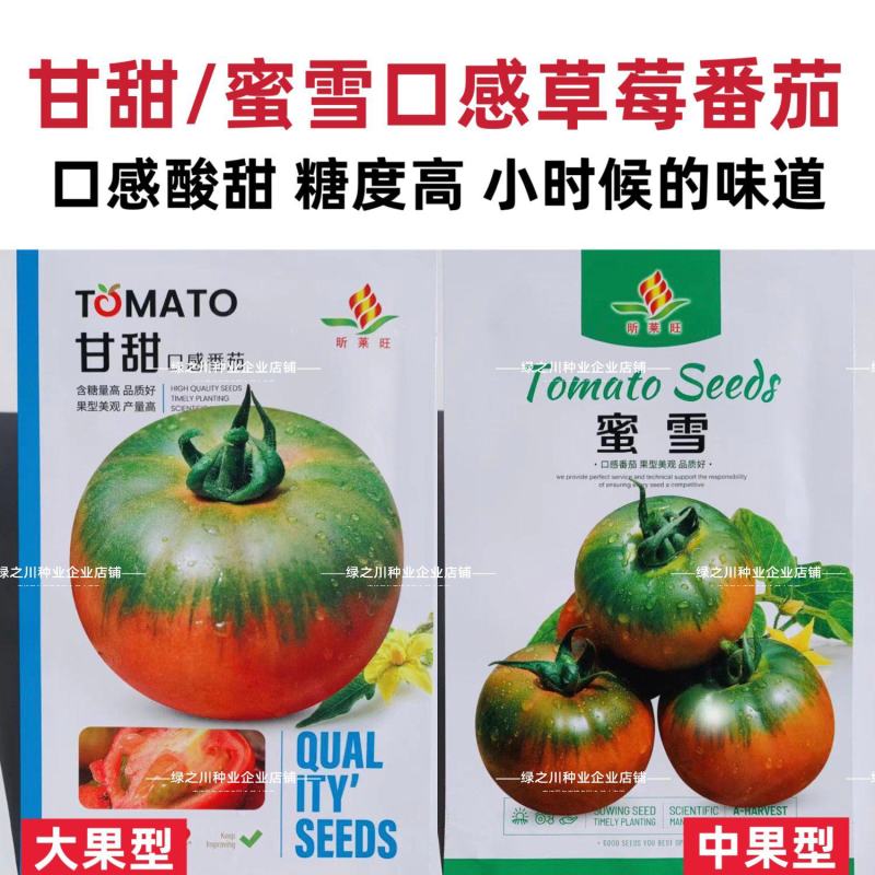 甘甜大果型草莓柿子种籽超甜水果番茄种子中果绿肩口感番茄
