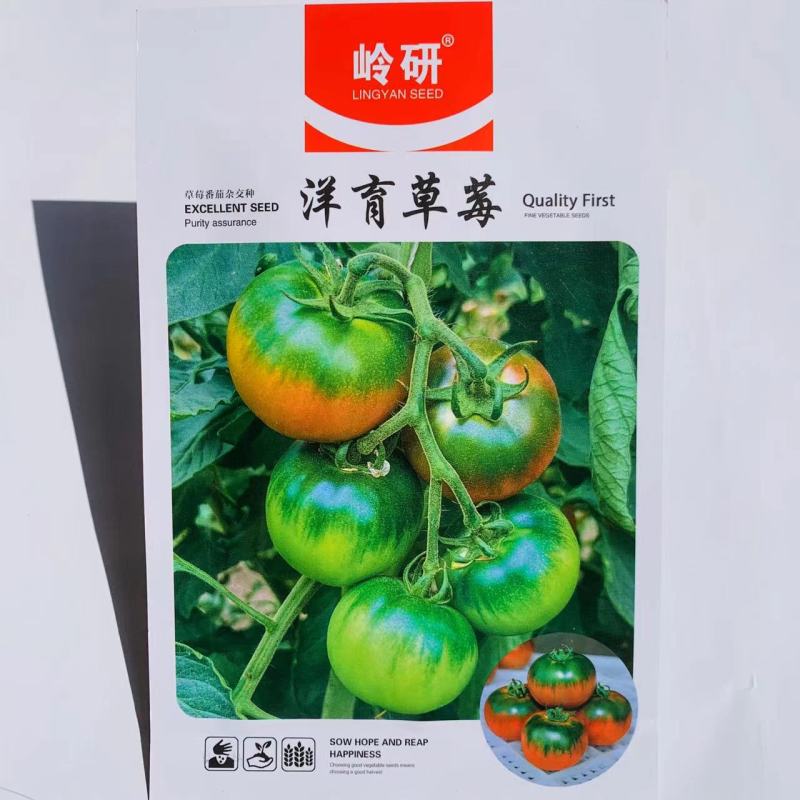 东北草莓柿子种籽大果型洋育草莓西红柿种子酸甜好吃绿肩番茄