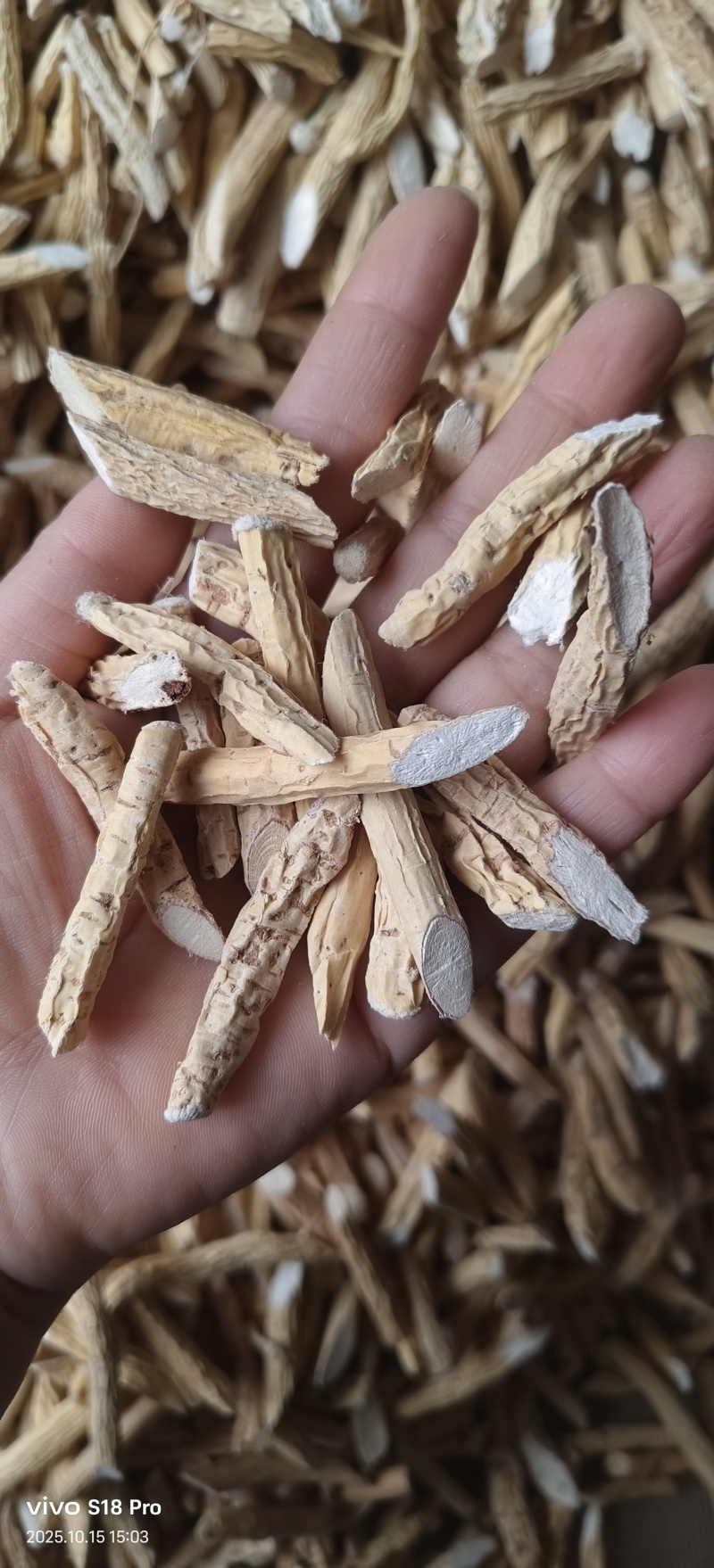 《牛大力》自然而然晒干粉质牛大力十成干货