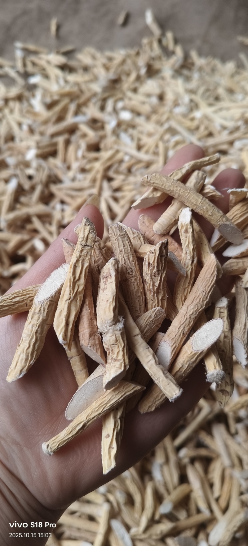 《牛大力》自然而然晒干粉质牛大力十成干货