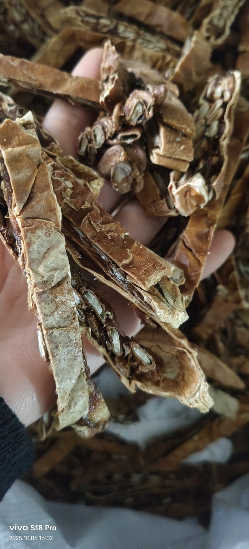 《瓜蒌》今年新货颜色好看鲜亮品质好地道药材
