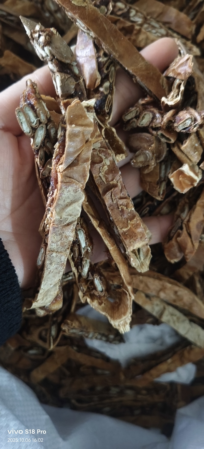 《瓜蒌》今年新货颜色好看鲜亮品质好地道药材