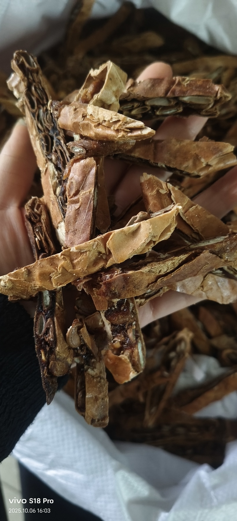 《瓜蒌》今年新货颜色好看鲜亮品质好地道药材
