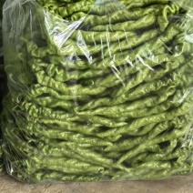 云南保山螺丝椒大量上市，品质好。8号线椒二荆条