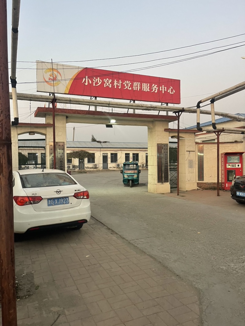 正宗小沙窝萝卜，对接电商，社区团购，直播带货，种植规模大