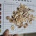 鹿角片有各种规格。量大从优欢迎新老客户前来购买。
