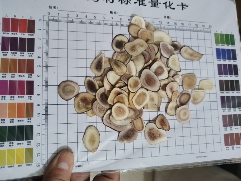 鹿角片有各种规格。量大从优欢迎新老客户前来购买。