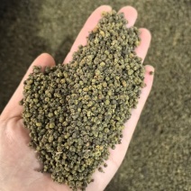 《吴茱萸》青色小花吴茱萸也叫吴萸实拍现货