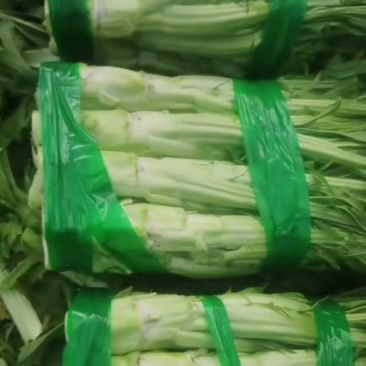 棒菜