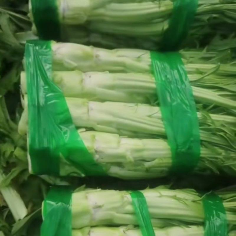 棒菜
