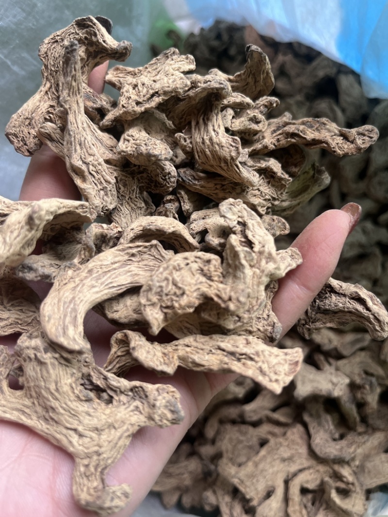 筠姜正宗四川犍为出口级筠姜均姜汉方古法炮制琥珀姜