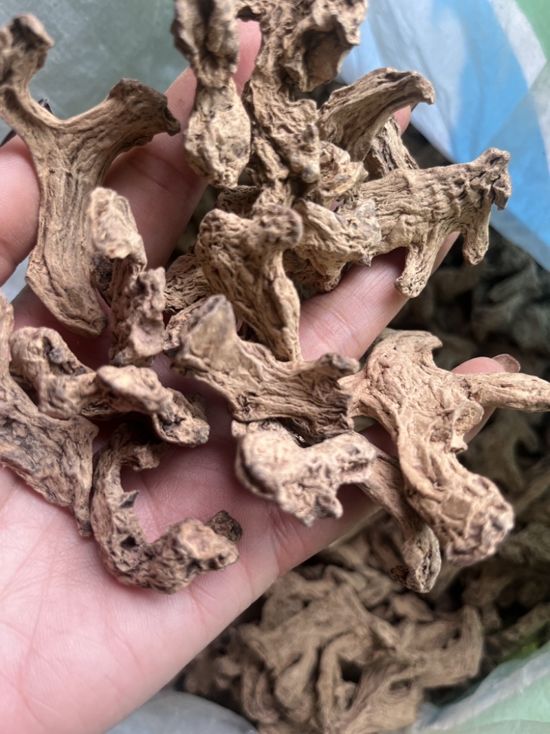 筠姜正宗四川犍为出口级筠姜均姜汉方古法炮制琥珀姜