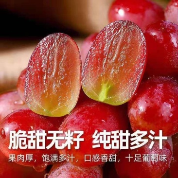 新鲜葡萄优质克伦生无籽红提葡萄克伦生葡萄爆甜新鲜特甜无籽