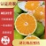 湖北精品蜜桔产地直发货源充足全国代发可视频看货