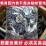 金钱白花蛇正品纯正白花蛇非赤练蛇冒充保质保量