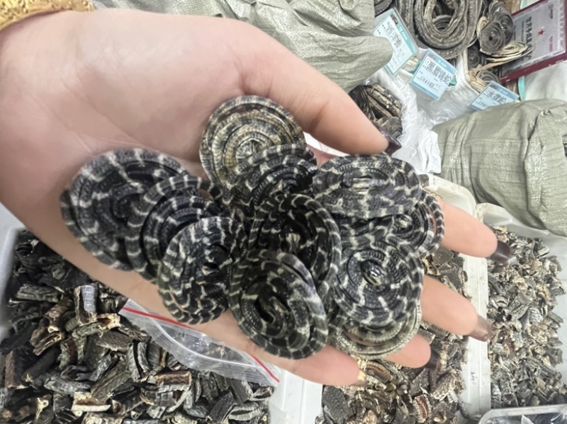 金钱白花蛇正品纯正白花蛇非赤练蛇冒充保质保量
