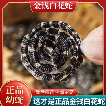 金钱白花蛇正品纯正白花蛇非赤练蛇冒充保质保量