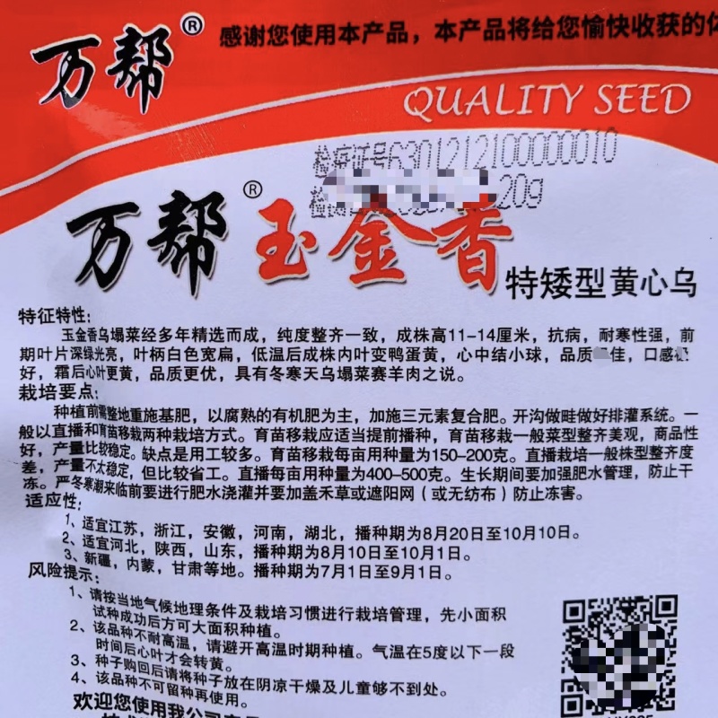 万帮黄心乌塌菜种子黄心乌种子特矮型黄芯菜菊花菜种子