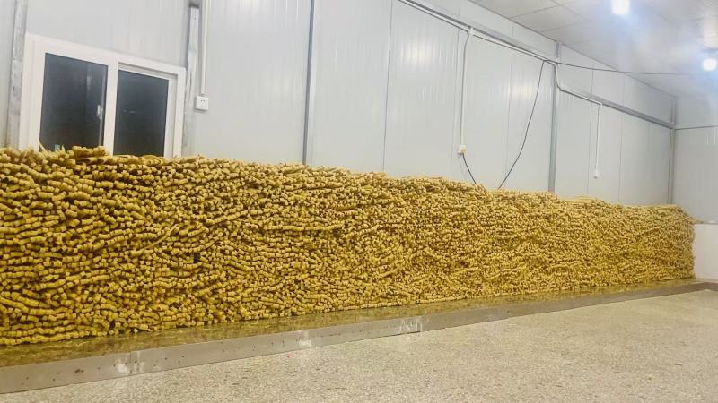 河南腐竹黄豆腐竹厂家直供可视频看货欢迎咨询