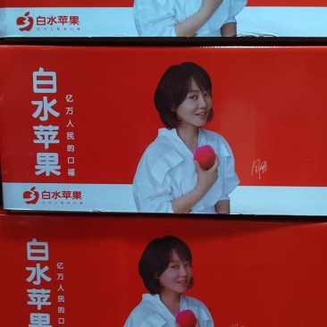 白水苹果你值得拥有