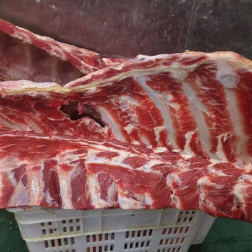 牛肉脊骨