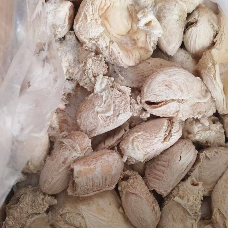 牛尿泡