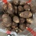 《实力》芋头产地豆包芋头大量上市产地常随到随装