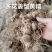多花姜型黄精，野生黄精