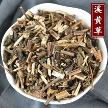 正品保证溪黄草野生新货药材溪黄草茶叶溪沟草稀黄草泡茶