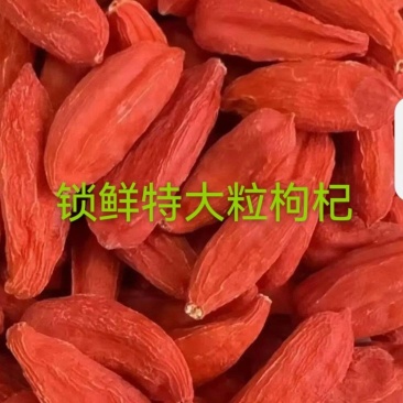 特大粒锁鲜枸杞