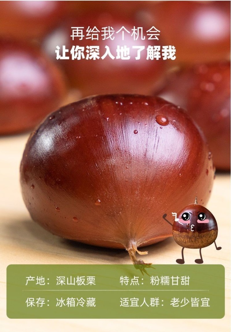 2025年精品新下树丹东大板栗，品质保证，软糯香甜。