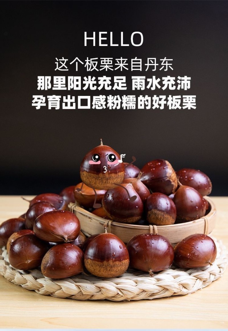 2025年精品新下树丹东大板栗，品质保证，软糯香甜。