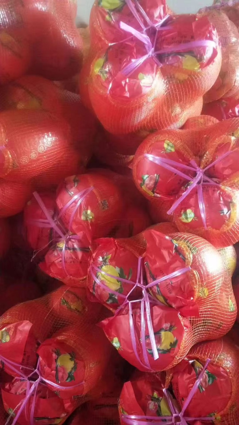 湖南精品套袋红心蜜柚大量现货供应产地一手货源欢迎咨询