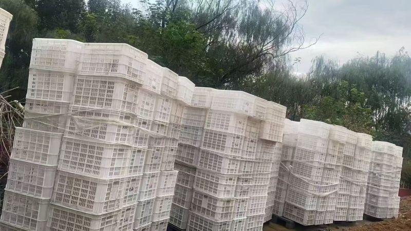53*36*29直角框10000个，价格不高需要的联系