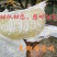 阳光山泉出好柚，酸甜爽口沁心田。甜似初恋，包邮到家哦