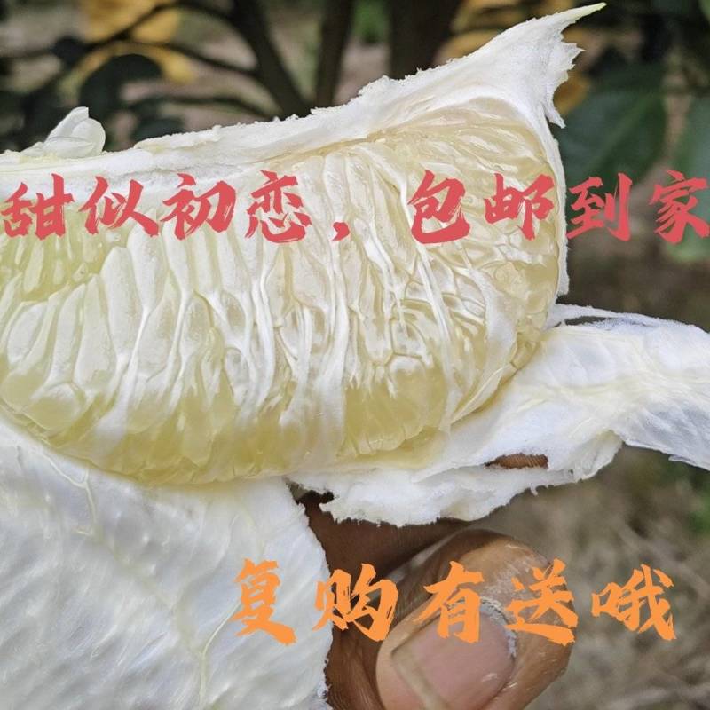 阳光山泉出好柚，酸甜爽口沁心田。甜似初恋，包邮到家哦