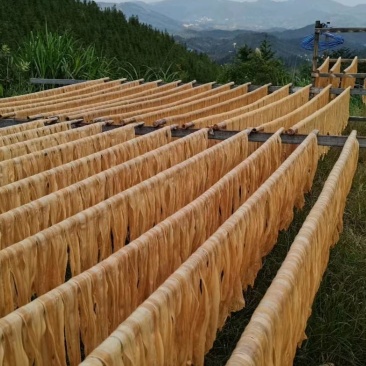河源腐竹
