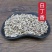 中药材店铺精选白丁香雀苏雄雀矢麻雀粪通用***晒