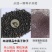 车桑子种子护坡园林绿化草籽高速公路边坡防护固沙护坡灌木草