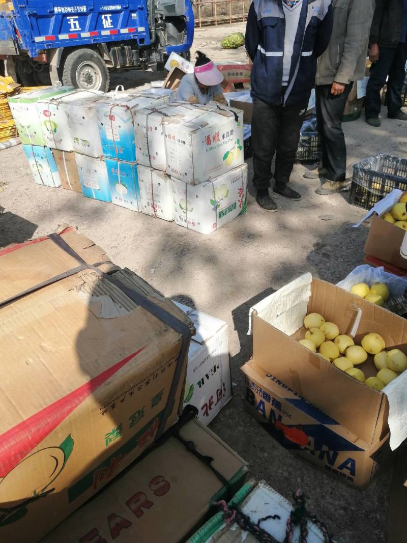 同川酥蜜梨皮薄核小特甜的无渣无核蜜梨