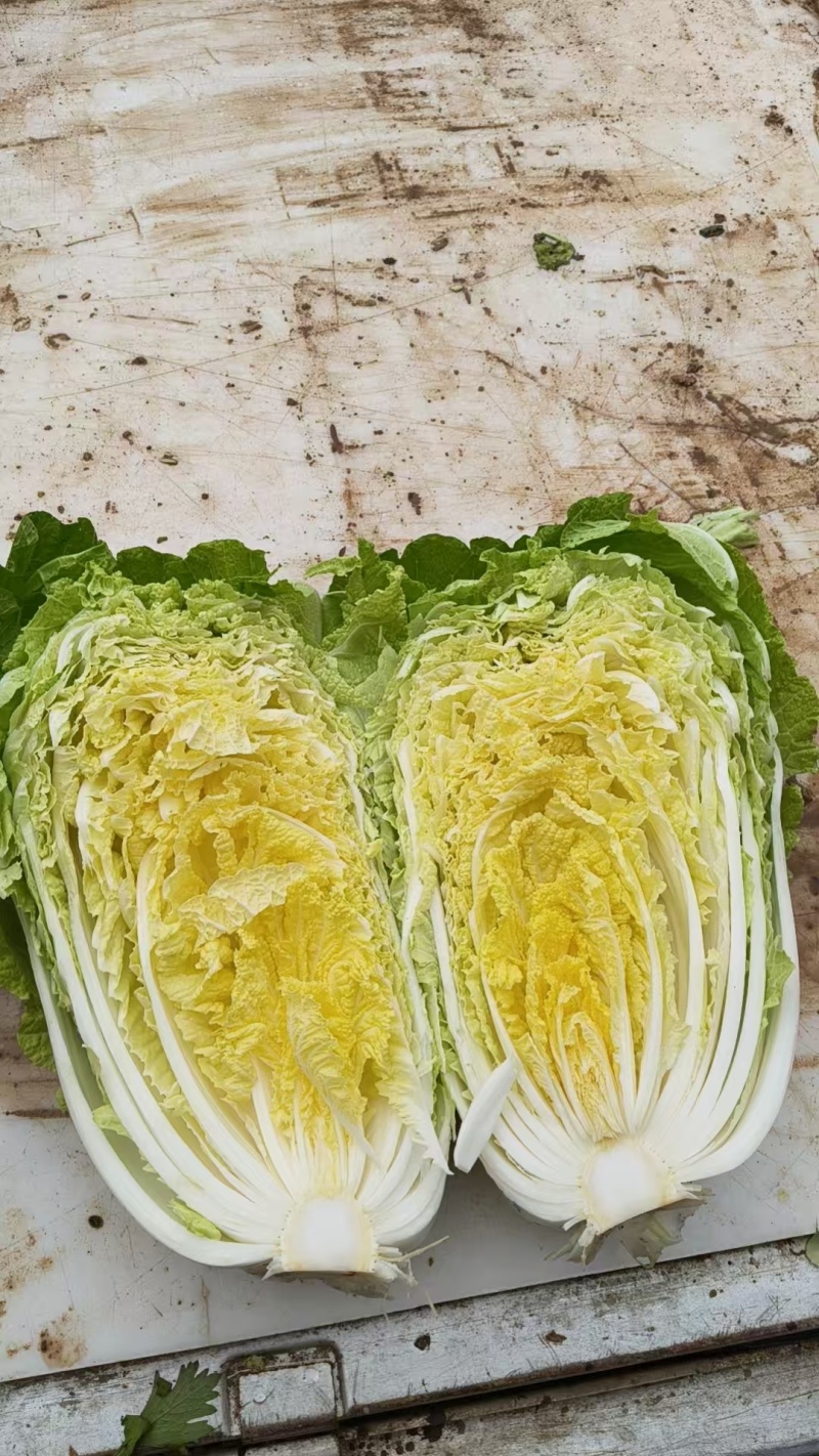 各种蔬菜大量现货