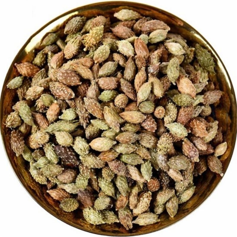 苍耳子中药材苍耳子正品干净无硫颗粒饱满中药材
