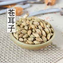 苍耳子中药材苍耳子正品干净无硫颗粒饱满中药材